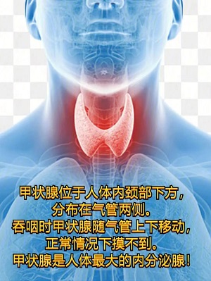 【健康科(kē)普】甲状腺癌你知多(duō)少？