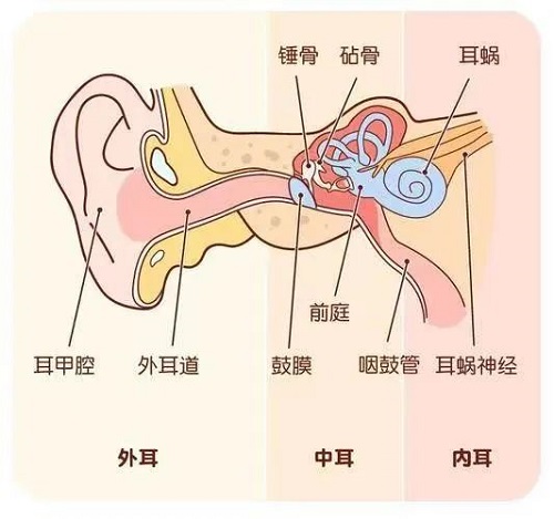 鼓膜穿孔不要怕！微创耳内镜来修补！