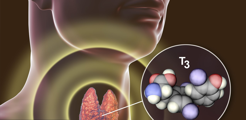 亲爱的甲状腺，你还好吗？